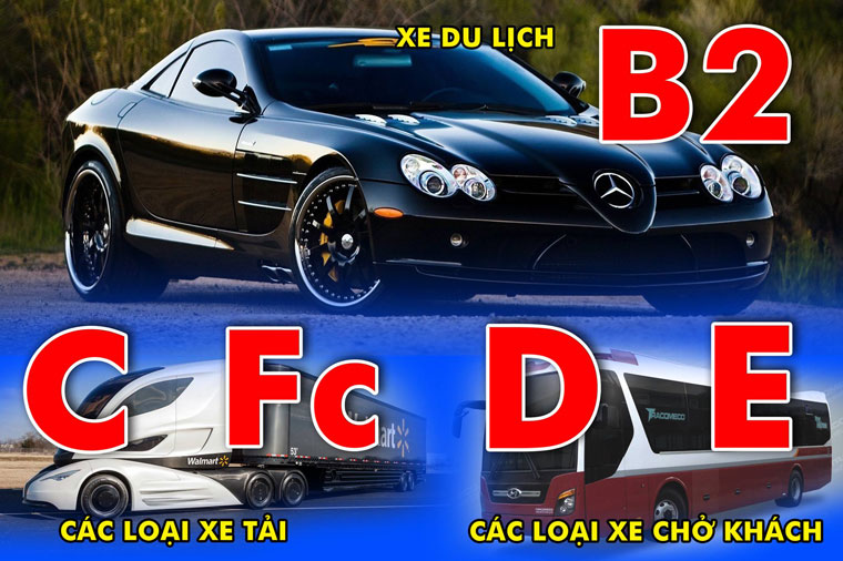 Các loại bằng lái xe Các loại bằng lái xe