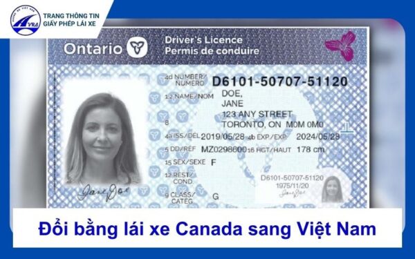 Dịch vụ đổi bằng lái xe Canada sang Việt Nam uy tín, cấp tốc