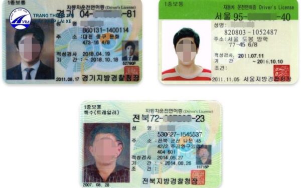 Thủ tục đổi bằng lái xe Hàn Quốc sang bằng lái Việt Nam