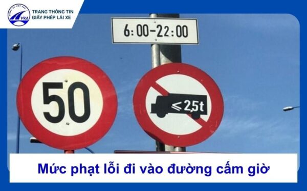 Lỗi đi vào đường cấm giờ