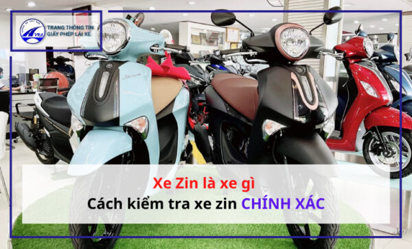 Xe zin là xe gì