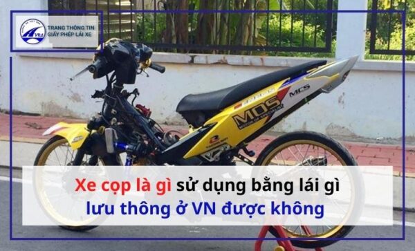 xe cọp là gì