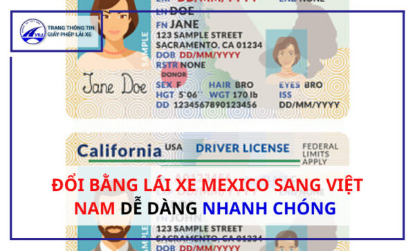 Đổi bằng lái xe Mexico sang Việt Nam Dễ Dàng NHANH CHÓNG