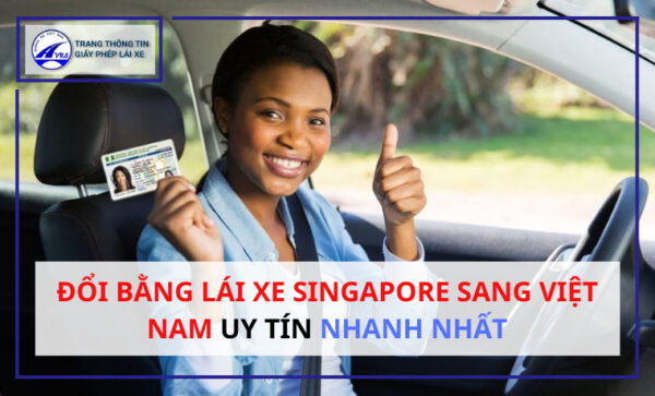 Đổi bằng lái xe singapore sang việt nam