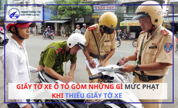 Giấy tờ xe ô tô gồm những gì MỨC PHẠT khi thiếu giấy tờ xe