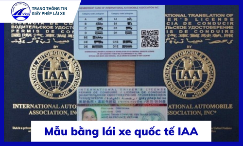 Mẫu bằng lái xe quốc tế IAA