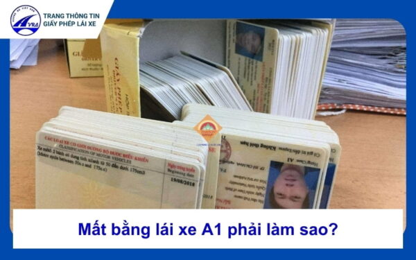 Mất bằng lái xe A1 phải làm sao? Thủ tục xin cấp lại 1 Mất bằng lái xe A1