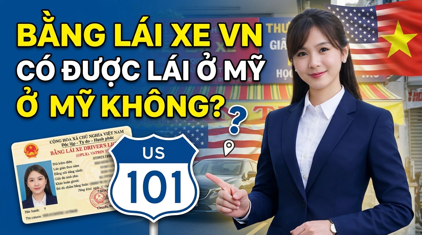 Bằng lái xe Việt Nam có dùng được ở Mỹ không? 9